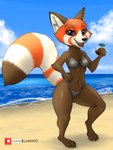absurd_res ailurid anthro bikini black_nose blackberries_(raspberrieswh) breasts canid canine clothed clothing fan_character female hi_res link6432 mammal markings midriff navel red_panda ring_(marking) ringed_tail simple_background solo striped_markings striped_tail stripes swimwear tail tail_markings thick_thighs