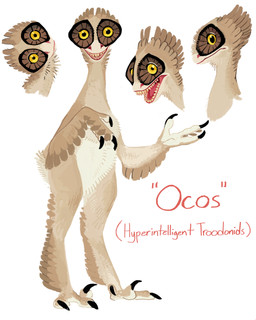 3_fingers 3_toes ambiguous_gender anthro biped brown_body brown_feathers claws feathered_arms feathered_crest feathers featureless_crotch feet finger_claws fingers head_crest head_tilt long_neck looking_at_viewer multicolored_body multicolored_feathers nude open_mouth pink_tongue sharp_teeth side_view simple_background smile speculative_evolution standing talons tan_body tan_feathers teeth text toe_claws toes tongue white_background white_body white_feathers yellow_eyes dimetrodone the_aviary dinosaur feathered_dinosaur feathered_scalie oco prehistoric_species reptile saurischian scalie theropod troodontid 4:5 absurd_res english_text full-length_portrait hi_res model_sheet multiple_images portrait species_name