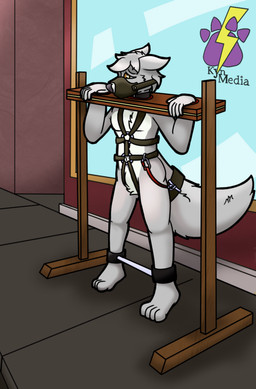 anthro bdsm bondage bound city collar crotch_tuft exhibitionism gag harness leather leather_muzzle looking_away male muzzle_(object) muzzle_gag nude outside restraints shy solo spreader_bar stocks tuft kynmedia wolfiescootaloo canid canine canis mammal wolf absurd_res hi_res