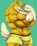 anthro black_nose blue_eyes boxers_(clothing) bulge cheek_spots clothing flexing flexing_bicep fur male multicolored_body multicolored_fur muscular muscular_anthro muscular_male navel simple_background solo tail tan_body tan_fur underwear yellow_body yellow_fur geodani nintendo pokemon generation_9_pokemon pawmot pokemon_(species) 4:5 hi_res