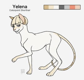 ambiguous_gender blonde_hair feral feral_with_hair feralized fur hair light_body light_fur long_tail simple_background skinny solo tail thin_tail white_background white_body white_fur silveyytm attack_on_titan yelena_(aot) colorpoint domestic_cat felid feline felis mammal shorthair_cat 2019 female_(lore)