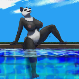 anthro areola black_body black_fur breasts exposed_breasts female fur genitals multicolored_body multicolored_fur nipples overweight poolside solo two_tone_body two_tone_fur vulva white_body white_fur wide_hips andy_234 vicky_panda_(andy234) bear giant_panda mammal 1:1 hi_res