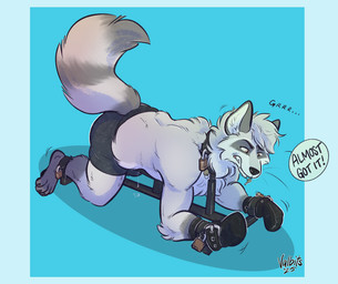 anthro athletic athletic_anthro athletic_male bdsm biped bodily_fluids bondage bound bulge clothed clothing fur genital_fluids grey_body grey_fur key leaking_precum lock male mitten_hands precum raised_tail solo submissive submissive_anthro submissive_male tail underwear underwear_only valbits nitroft mammal procyonid raccoon 2025 hi_res