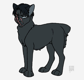 ambiguous_gender black_body black_fur black_hair black_nose facial_scar feral feral_with_hair feralized fur grey_eyes hair looking_at_viewer scar simple_background solo white_background silveyytm attack_on_titan levi_ackerman bobtail_cat domestic_cat felid feline felis japanese_bobtail mammal 2019