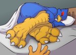 3_toes ambiguous_gender anthro beak bed bed_sheet bedding bedroom blue_body blue_fur butt claws duo eyes_closed feathers feet foot_fetish foot_focus foot_grab fur furniture hug hugging_object hugging_pillow male male_focus nude nude_anthro nude_male oblivious orange_body orange_fur pillow reaching reaching_out sleeping solo_focus talons toe_claws toes yellow_beak yellow_feet yellow_legs kiwifizz nintendo star_fox falco_lombardi avian bird falcon falconid cel_shading hi_res shaded