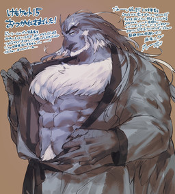 abs anthro beard body_hair chest_hair clothing facial_hair hair hair_down happy_trail long_hair male muscular pecs robe solo fuyoudo624 lifewonders tokyo_afterschool_summoners simurgh_(tas) avian bird hi_res