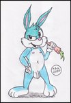 adolescent anthro balls carrot chewing flaccid food genitals male nude penis plant simple_background solo vegetable young reddragonkan tiny_toon_adventures warner_brothers buster_bunny lagomorph leporid mammal rabbit traditional_media_(artwork)