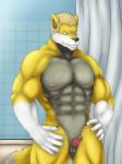 abs anthro balls bathroom biped black_nose blonde_hair claws erection fur genitals glans grey_balls grey_body grey_fur hair inside male muscular muscular_anthro muscular_male nipples nude penis pink_glans pink_penis shower small_balls small_penis solo white_body white_fur yellow_body yellow_fur ipangherefun blake_gibson canid canine canis mammal wolf 3:4 hi_res