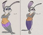 anthro female fur gloves_(marking) markings multicolored_body multicolored_fur purple_eyes solo two_tone_body two_tone_fur boloid disney zootopia judy_hopps european_rabbit lagomorph leporid mammal oryctolagus rabbit digital_media_(artwork) hi_res