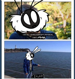 antennae_(anatomy) anthro male sea solo text water unknown_artist arthropod insect lepidopteran moth english_text meme