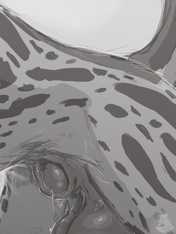 animal_genitalia balls bodily_fluids feral genital_fluids genitals male precum sheath solo urethra nolow nolow_(character) cheetah felid feline mammal 2022 3:4 hi_res sketch