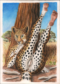anthro anus countershading feet female genitals green_eyes legs_up looking_at_viewer lying markings nude on_back outside plant plantigrade savanna soles solo spots spotted_body toes tree vulva syntech felid leopard mammal pantherine hi_res traditional_media_(artwork)