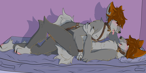 anthro bed bedroom_eyes black_nails black_nose blush blush_lines brown_hair collar collar_only colored_nails cuddling cuff_(restraint) duo eye_contact fur furniture grey_body grey_fur hair handcuffs harness harness_only head_on_pillow holding_arm looking_at_another lying lying_on_another lying_on_bed male male/male male_anthro mattress metal_cuffs nails narrowed_eyes nude nude_anthro nude_male on_bed pillow red_eyes restraints seductive selfcest square_crossover suggestive suggestive_pose tongue tongue_out 2001maxx conditional_dnp maxx_(2001maxx) canid canine canis domestic_dog husky mammal nordic_sled_dog spitz absurd_res hi_res