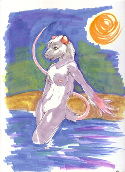 anthro biped breasts female genitals nipples nude solo standing sun tail vulva water whiskers snowy_dragon mammal murid murine rat rodent