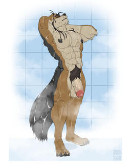 abs anthro balls big_penis brown_body brown_fur eyes_closed fur genitals hair humanoid_genitalia humanoid_penis male muscular muscular_anthro muscular_male nipples nude pecs penis pubes solo standing thick_penis water wet soradezwolfox aiden_(wolfdudeaiden) canid canine canis mammal 2023 dated hi_res