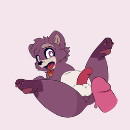 anthro anus belly duo fur genitals male male/male open_mouth penis presenting presenting_anus presenting_balls presenting_penis purple_body purple_fur spread_legs spreading thick_thighs wide_hips vlaxi111 indigo_park rambley_raccoon mammal procyonid raccoon 1:1 hi_res