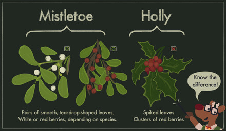 anthro eyewear gesture glasses hand_gesture holly_(plant) infographic male mistletoe plant pointing wearing_glasses unknown_artist creative_commons mistletoe_inspector deer mammal new_world_deer reindeer hi_res