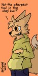 anthro big_tail bottomwear clothing confident fluffy fluffy_tail fur hoodie male orange_background orange_body orange_fur pants rude simple_background snaggle_tooth tail topwear goodwillw shorty_doggy lin_fox_(goodwillw) canid canine fox mammal 1:2 absurd_res digital_media_(artwork) hi_res pixel_(artwork)