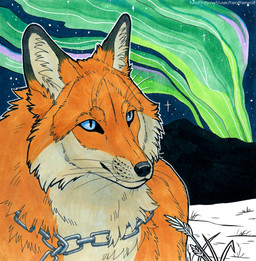 anthro aurora_(phenomenon) black_nose blue_eyes chain cheek_tuft chest_tuft facial_tuft fangs fur glistening glistening_eyes grass male male_anthro mouth_closed night nude orange_body orange_fur outside plant pupils slit_pupils solo star tan_body tan_fur teeth tuft whiskers heatherwolf canid canine fox mammal hi_res