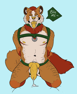 accessory animal_genitalia animal_penis anthro bodily_fluids canine_genitalia canine_penis cock_ring erection front_view fur genital_fluids genitals half-closed_eyes hands_behind_back harness harness_only jewelry kneeling knot knotted_penis looking_at_viewer male male_anthro narrowed_eyes nipples nude nude_anthro nude_male open_mouth orange_body orange_fur penis penis_accessory penis_jewelry precum precum_string simple_background solo speech_bubble tail teeth text tongue tongue_out vein veiny_penis yellow_body yellow_eyes yellow_penis labradorszn unknown_species 2019 english_text hi_res