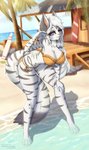 accessory anthro barefoot beach big_breasts black_stripes blue_eyes breasts building clothing detailed_background feet female fur hair hair_accessory hair_tie long_hair long_tail palm_tree pink_nose plant rock sand seaside sky solo stripes swimwear tail text tree water white_body white_fur mintjuice melody_(sakuradlyall) felid mammal pantherine tiger absurd_res english_text hi_res