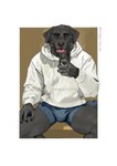 anthro boxer_briefs boxers_(clothing) bulge cellphone clothed clothing electronics jacket male phone selfie simple_background smartphone smile solo topwear underwear drago_tatsuki_(artist) apple_inc. iphone bird_dog canid canine canis domestic_dog hunting_dog labrador mammal retriever absurd_res hi_res