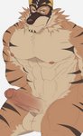 abs anthro balls erection genitals male mask muscular muscular_anthro muscular_male nipples pecs penis solo superhero ryandidindoome lifewonders live_a_hero ryekie_(live_a_hero) felid mammal pantherine tiger