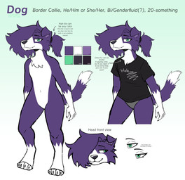 accessory anthro clothed clothing fluffy fluffy_hair fur gloves_(marking) green_eyes hair hair_accessory hair_tie leg_markings looking_at_viewer male markings pantsless ponytail purple_body purple_fur purple_hair shirt socks_(marking) solo t-shirt text text_on_clothing text_on_shirt text_on_topwear topwear underwear somesacredbird dog_(somesacredbird) border_collie canid canine canis collie domestic_dog herding_dog mammal pastoral_dog sheepdog 2022 absurd_res digital_drawing_(artwork) digital_media_(artwork) english_text hi_res model_sheet genderfluid_(lore) nonbinary_(lore)