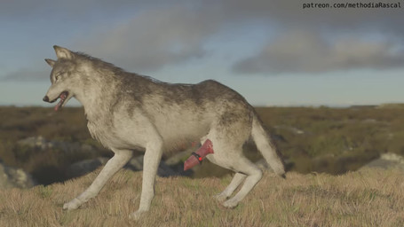 animal_genitalia animal_penis balls bodily_fluids canine_genitalia canine_penis cum cum_on_ground cumshot ejaculation erection excessive_cum excessive_genital_fluids eyes_closed feral forced forced_orgasm fur genital_fluids genitals grass grey_body grey_fur knot male nature open_mouth orgasm outside penile penis plant sex_toy solo teeth tongue tongue_out vein veiny_penis vibrating_cock_ring vibrator vibrator_on_penis yellow_eyes methodia_rascal canid canine canis mammal wolf 16:9 3d_(artwork) 3d_animation animated blender_(artwork) digital_media_(artwork) hi_res long_playtime no_sound video widescreen