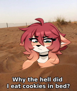 anthro black_nose dialogue eyebrows eyelashes hair long_hair outside sand solo text yappcat real_world yumi_(catniplewds) domestic_cat felid feline felis mammal 2026 artist_name digital_media_(artwork) english_text hi_res meme