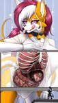 anthro clothing collar doctor extreme_size_difference female fully_inside fur group inside_stomach internal licking licking_lips macro male male/female micro orange_body orange_fur shirt size_difference tongue tongue_out topwear vore white_body white_fur x-ray_view allsonwa ada_(allsonwa) vison_(allsonwa) canid canine fox mammal mouse murid murine rodent absurd_res hi_res