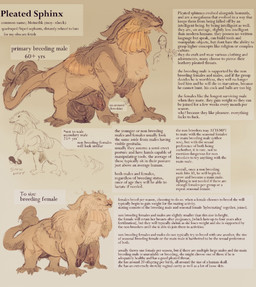 animal_genitalia anthro balls belly big_balls big_breasts big_ears big_penis bodily_fluids breasts breeding_kink brown_body disability duo female feral foreskin fur genitals hibernation huge_balls huge_breasts huge_penis hyper hyper_balls hyper_breasts hyper_genitalia hyper_penis lactating larger_male lore macro male male/female multicolored_body multicolored_fur overweight overweight_female overweight_male penis presenting semi-anthro sheath size_difference speculative_evolution stretch_marks tail tail_tuft tuft unrealistic vein wide_hips yellow_body yellow_fur aniriteron mythology bat dragon felid mammal moineihk_(pleated_sphinx) mythological_creature mythological_scalie mythological_sphinx scalie absurd_res hi_res model_sheet