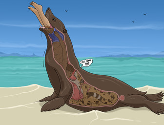 almost_fully_inside ambiguous_feral ambiguous_gender ambiguous_pred anthro beach bottomless bra bra_only clothed clothing dialogue female female_anthro feral feral_pred fully_inside fur group human_prey imminent_oral_vore imminent_vore internal male male_human male_prey markings multiple_prey oral_vore recursive_vore sand sea short_tail soft_vore speech_bubble spots spotted_body spotted_fur tail tan_body tan_fur text topless trio underwear underwear_only vore water strega callie_(strega) ambient_bird aquatic cheetah felid feline human mammal pinniped sea_lion english_text hi_res