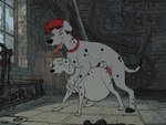 101_dalmatians 2016 2d_animation 4:3 animal_genitalia animal_penis animated balls belly big_belly black_nose bouncing_balls canid canine canine_genitalia canine_penis canis cobalt_(cobaltdawg) collar collar_tag dalmatian detailed_background digital_media_(artwork) digitigrade disney domestic_dog duo erection eyes_closed eyewear female female_penetrated feral feral_on_feral feral_penetrated feral_penetrating feral_penetrating_feral frame_by_frame from_behind_position fur genitals glasses hair inside knot larger_feral larger_male male male/female male_penetrating male_penetrating_female mammal markings mounting nude on_model open_mouth penetration penis perdita pregnant pregnant_female pregnant_feral pregnant_sex red_hair sex short_playtime size_difference slosh sloshing_belly smaller_female smaller_feral smaller_penetrated smile spots spotted_body spotted_fur spread_legs spreading sunglasses third-party_edit tongue tongue_out white_body white_fur window zaush