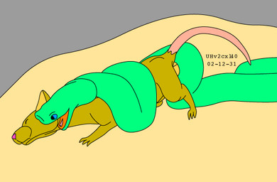 ball_squeeze balls blue_eyes brown_body brown_fur duo eyes_closed feral forced fur genitals green_body imminent_oral_vore imminent_vore male male/male nude open_mouth pink_nose pinned size_difference tail vore urbanhermit mammal murid murine rat reptile rodent scalie snake 2002 colored