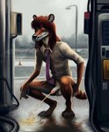 4_toes anthro balls barefoot bodily_fluids bottomless bottomless_male claws clothed clothing crouching detailed_background feet finger_claws foreskin fur gas_station genital_fluids genitals humanoid_genitalia humanoid_penis male necktie orange_body orange_fur pantsless paws peeing penis public_urination raining shirt solo toe_claws toes topwear urine urine_stream yellow_urine jesu_cito dasyuromorph mammal marsupial recently_extinct_species thylacine hi_res