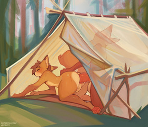 all_fours anal anal_penetration anthro anthro_on_anthro anthro_penetrated anthro_penetrating anthro_penetrating_anthro balls big_penis biped butt camping doggystyle duo from_behind_position fur genitals male male/male male_anthro male_penetrated male_penetrating male_penetrating_male nature nude nude_male orange_body orange_fur penetration penile penile_penetration penis penis_in_ass sex tent text nepentz canid canine fox mammal absurd_res hi_res url