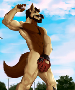 anthro athletic athletic_male ball baseball_(ball) baseball_glove beard cloud covering covering_crotch day facial_hair male male_anthro outside pitching_position sky solo standing okamibley ryan_(ricochet1234) canid canine canis mammal wolf hi_res