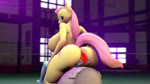 anthro anthro_on_anthro anthrofied anus big_breasts big_butt big_dom_small_sub bouncing_butt breast_size_difference breasts butt butt_slap cutie_mark dominant dominant_female duo facesitting female female/female fighting_ring genitals huge_breasts larger_female moan nude pussy sitting_on_another size_difference slap slapping_own_butt slapping_self smaller_female submissive submissive_female magnetvox friendship_is_magic hasbro my_little_pony fluttershy_(mlp) rainbow_dash_(mlp) equid equine horse mammal pony 16:9 3d_(artwork) 3d_animation animated digital_media_(artwork) high_framerate short_playtime sound webm widescreen