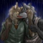 anthro bodily_fluids brown_body brown_eyes brown_fur clothing crying duo french_kissing fur green_eyes grey_body grey_fur hand_holding hug kissing male male/male muscular outside raining romantic romantic_couple shirt tank_top tears tongue topwear toku canid canine canis domestic_dog mammal 1:1