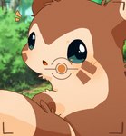 blush brown_body brown_fur daww feral fur kemono multicolored_body multicolored_fur outside solo two_tone_body two_tone_fur ke_mo_suke nintendo pokemon pokemon_snap furret generation_2_pokemon pokemon_(species) 2021 hi_res