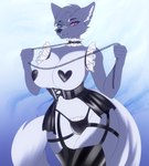 anthro breasts bulge clothing collar corset fluffy fluffy_tail gynomorph heterochromia intersex lingerie solo tail topwear oxygeni canid canine mammal absurd_res hi_res