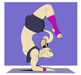 anthro balancing bending bottomwear bulge butt claws clothing contortionism curled_tail fangs flexible footwear fur long_socks male mouth_closed red_eyes shirt shorts side_view socks solo stretching tail tank_top teeth topwear whiskers wristband yoga reagan700 nintendo pokemon felid feline generation_1_pokemon mammal persian_(pokemon) pokemon_(species) 2026 hi_res