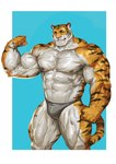 abs anthro barazoku biceps big_muscles black_body black_fur clothing fist flexing flexing_bicep fur huge_muscles looking_at_viewer male muscular muscular_anthro muscular_male navel nipples pecs quads scar solo standing underwear vein veiny_muscles white_body white_fur yellow_body yellow_fur traver009 coach_ho felid mammal pantherine tiger absurd_res hi_res