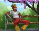 anthro balls bench bottomless clothed clothing crotch_tuft erection eyewear fluffy_balls foreskin genitals glasses humanoid_genitalia humanoid_penis looking_at_viewer male park penis presenting retracted_foreskin solo spread_legs spreading tail tail_tuft tuft eoss_air nintendo pokemon ember_(blazikem) avian bird blaziken chicken galliform gallus_(genus) generation_3_pokemon phasianid pokemon_(species) absurd_res digital_media_(artwork) hi_res shaded