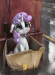 adoption_box box container female feral hair horn in_box in_container long_hair outside sad sitting solo young young_feral mrs1989 friendship_is_magic hasbro if_it_fits_i_sits_(meme) my_little_pony mythology sweetie_belle_(mlp) equid equine mammal mythological_creature mythological_equine unicorn 2014 absurd_res hi_res meme