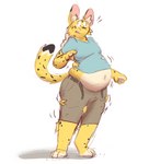 anthro belly belt big_belly clothing expansion fluffy fur male markings moobs overweight overweight_male simple_background solo spots spotted_body spotted_fur surprised_expression torn_clothing wardrobe_malfunction weight_gain yellow_body ambergate el_(servalstupid) felid feline mammal serval hi_res