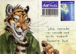 anthro blotch card_template claws clothed clothing ear_piercing english_text eyewear fangs felid glasses male mammal open_clothing open_shirt open_topwear pantherine piercing postcard raj shirt solo stripes teeth text the_dog's_days_of_summer tiger topwear