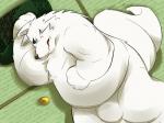 anthro belly bulge fur humanoid_hands lying male overweight overweight_anthro overweight_male solo white_body white_fur shimesaba551 gingitsune gintaro canid canine fox mammal 2014 4:3