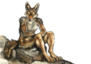 anthro brown_body brown_fur claws fur looking_at_viewer male nude nude_anthro nude_male orange_eyes paws pointy_ears prick_ears rock simple_background sitting solo tail text toe_claws white_background kenket canid canine canis coyote mammal 2014 traditional_media_(artwork) url
